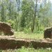 चुँदीरम्घामा भानुभक्तकालीन घर बनाइँदै