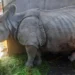 कोशी टप्पु पठाइए पुष्पा र अञ्जली