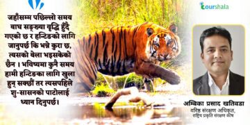 बाघ सङ्ख्या वृद्धि भएपनि ‘हन्टिङ’का लागि जाने बेला भएको छैन