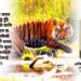 बाघ सङ्ख्या वृद्धि भएपनि ‘हन्टिङ’का लागि जाने बेला भएको छैन