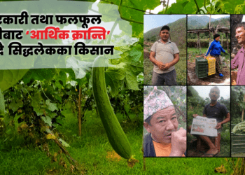तरकारी तथा फलफूल खेतीबाट ‘आर्थिक क्रान्ति’ थाल्दै  सिद्धलेकका किसान