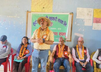 नेपाल जागिरे र विदेश जानेहरूको नभई उद्यमीहरूको देश बन्नुपर्छ: पाण्डे