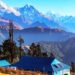 हिमाल हेर्न कोखेडाँडा