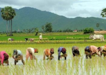 “Asar 15: Nepal’s Vibrant Festival Honoring the Sacred Bond with its Soil and Roots”