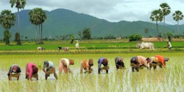 “Asar 15: Nepal’s Vibrant Festival Honoring the Sacred Bond with its Soil and Roots”
