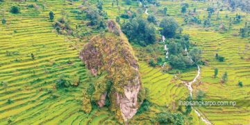 Amazing Story: A Small Bird Called ‘Fistey’ Carried Nepal’s Massive Rock ‘Bijulung’
