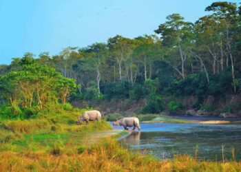 Chitwan National Park: Nature’s Inviting Wonder