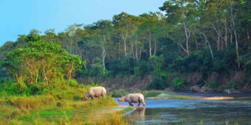 Chitwan National Park: Nature’s Inviting Wonder