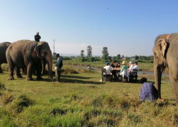 Elephant Sanctuary: Exploring Alternative Tourism in Chitwan’s Sauraha