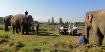 Elephant Sanctuary: Exploring Alternative Tourism in Chitwan’s Sauraha