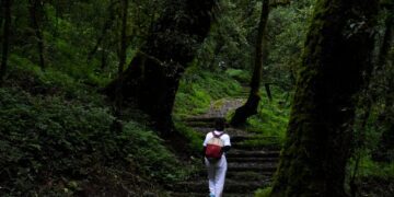 Top 10 Most Popular Hiking Destinations in Kathmandu: