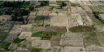 Madhesh and Neighboring Bihar: Facing the Direct Impacts of Climate Change